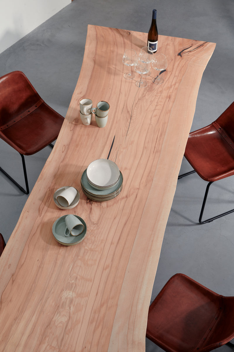 boom stam tafel
